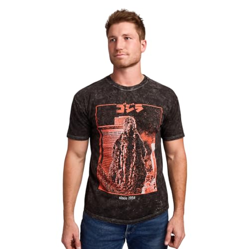 Godzilla Kanji Title Art Men's Black Cloud Wash Short Sleeve Tee