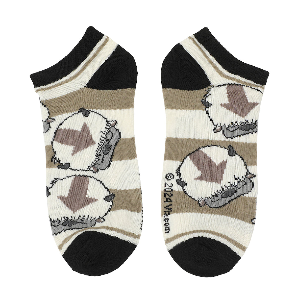 Avatar 5-Pack of Womens Ankle Socks