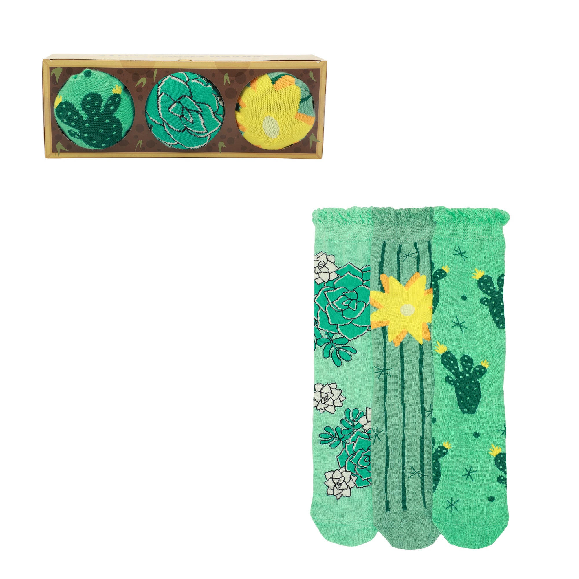 Desert Cacti & Flowers Women's 3-Pair Casual Crew Socks-OSFA