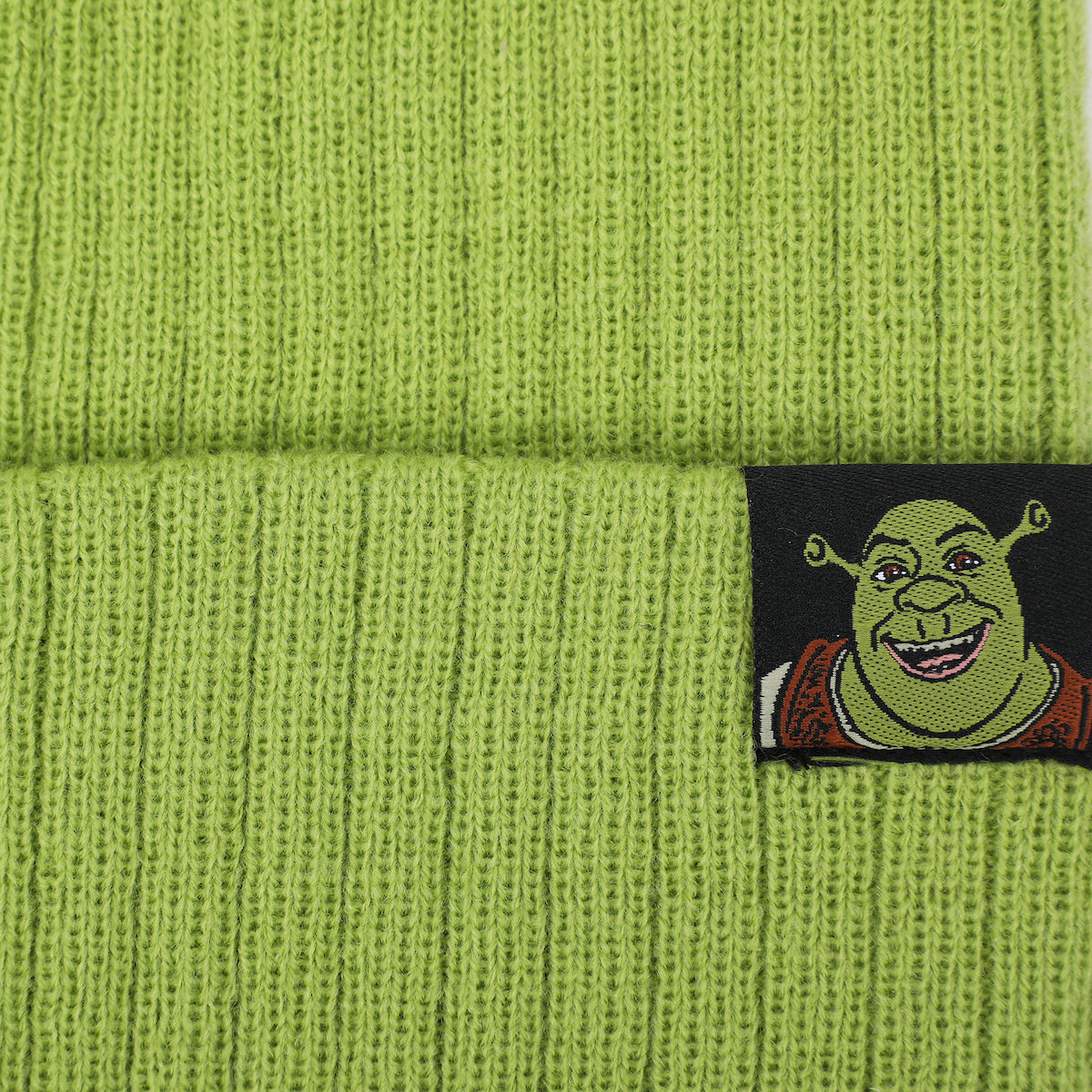 Shrek 3D Cosplay Adult Knit Beanie