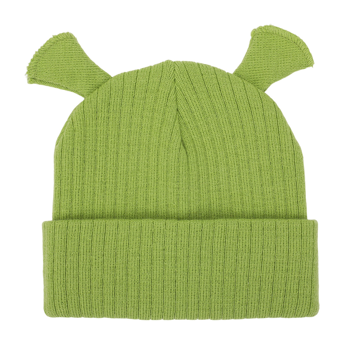 Shrek 3D Cosplay Adult Knit Beanie