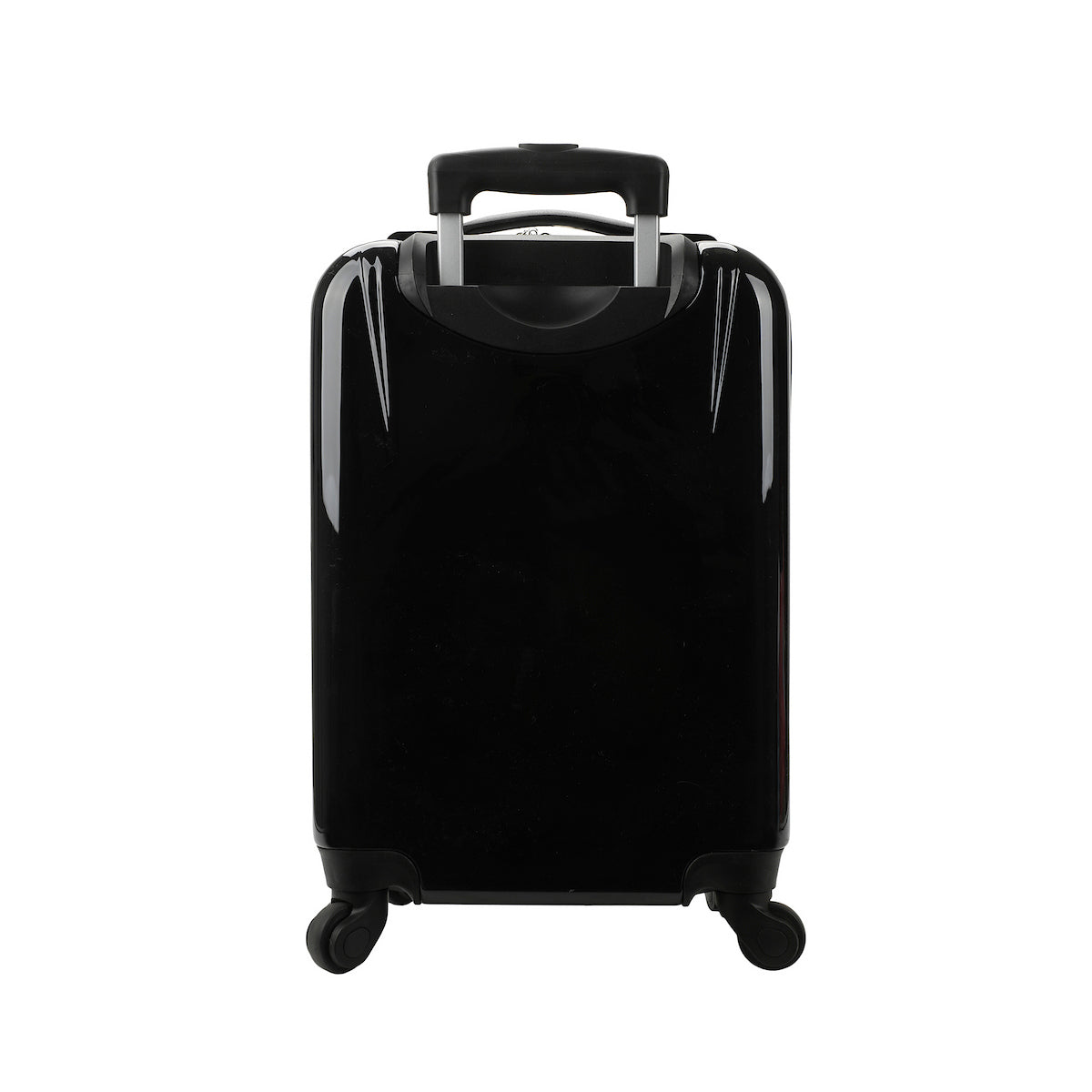Pokémon Character Types 20" rolling luggage