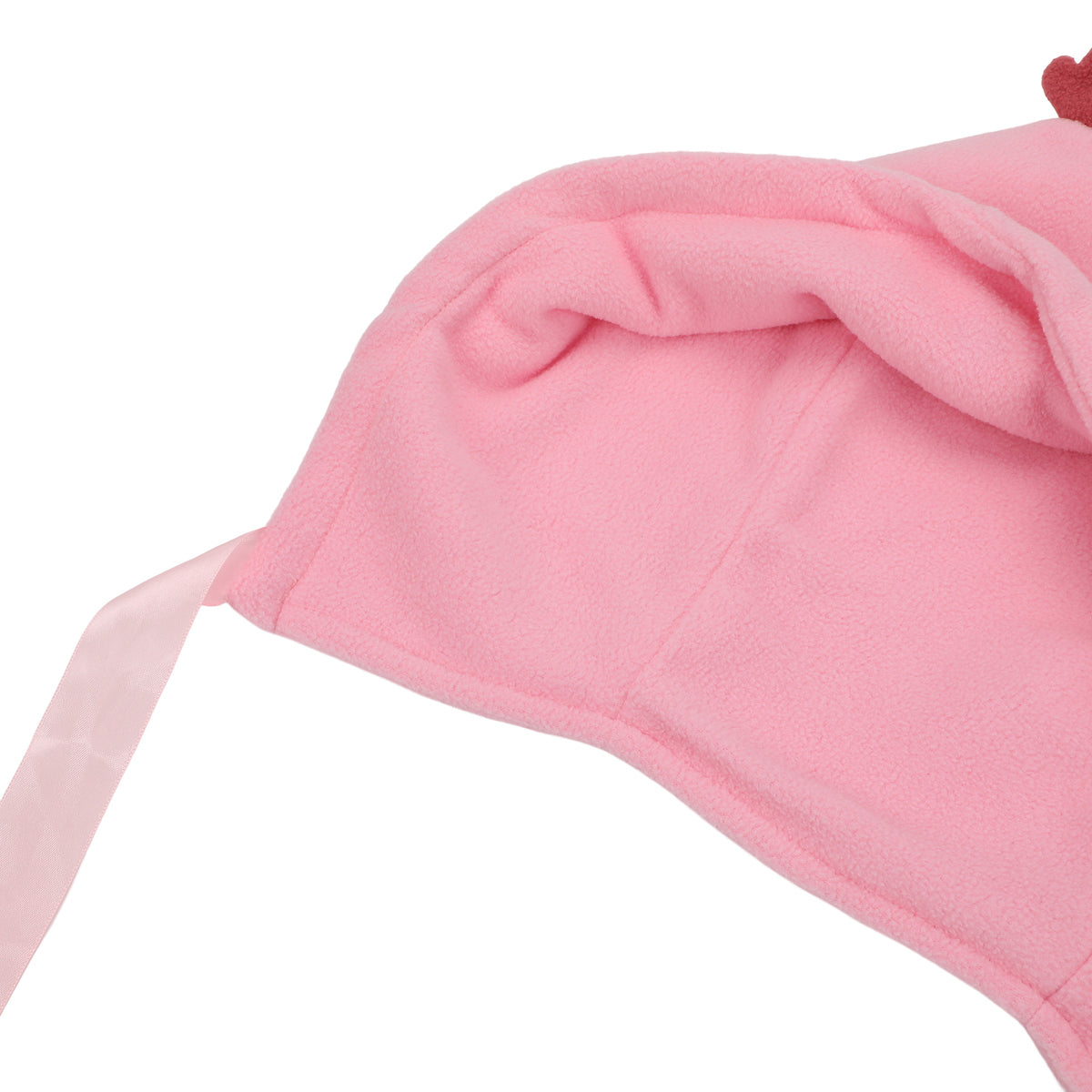 Novelty Beanie 3D Axolotl Hood with Chin Ties Beanie
