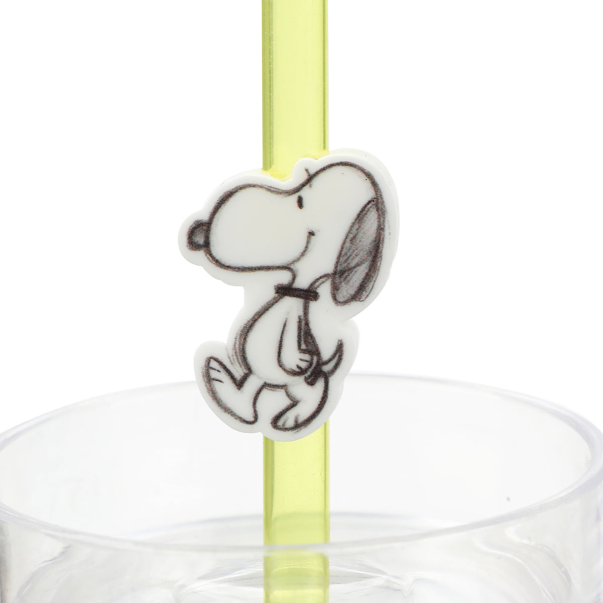 Peanuts Snoopy & Woodstock 16 Oz Slim Plastic Tumbler