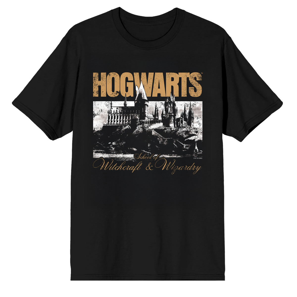 Harry Potter Hogwarts Heritage Graphic T-Shirt 100% Cotton Crew Neck Vintage Distressed Castle Print Men's Tee
