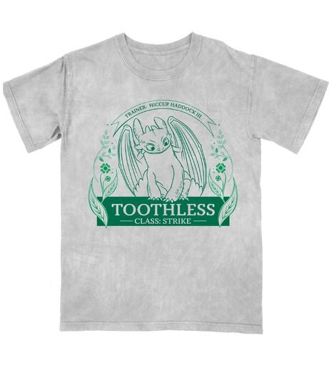 How To Train Your Dragon Toothless Leaf Circle Women's Gray Mineral Wash Crew Neck Short Sleeve T-shirt