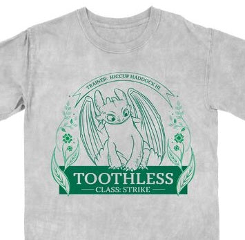 How To Train Your Dragon Toothless Leaf Circle Women's Gray Mineral Wash Crew Neck Short Sleeve T-shirt