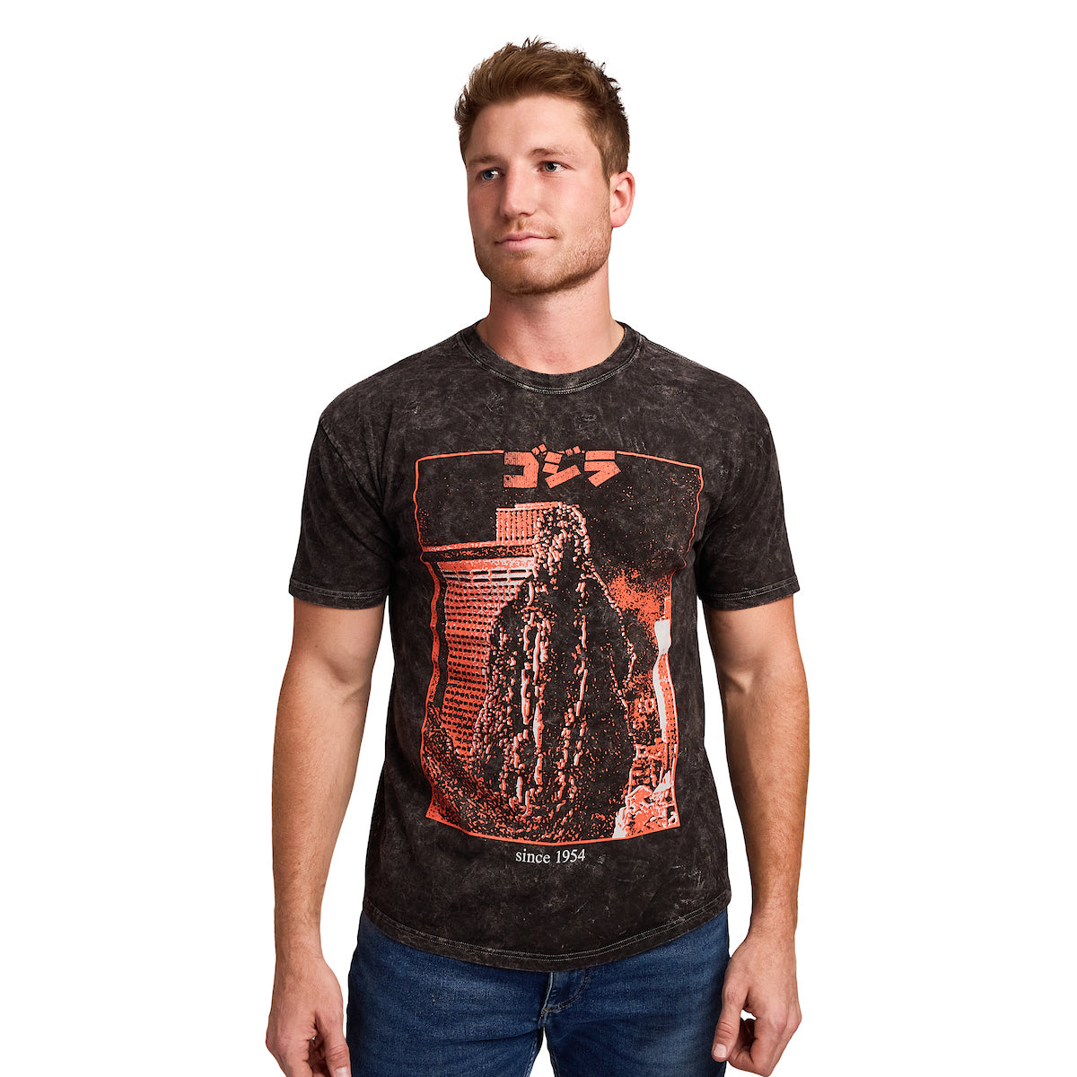 Godzilla Kanji Title Art Men's Black Cloud Wash Short Sleeve Tee