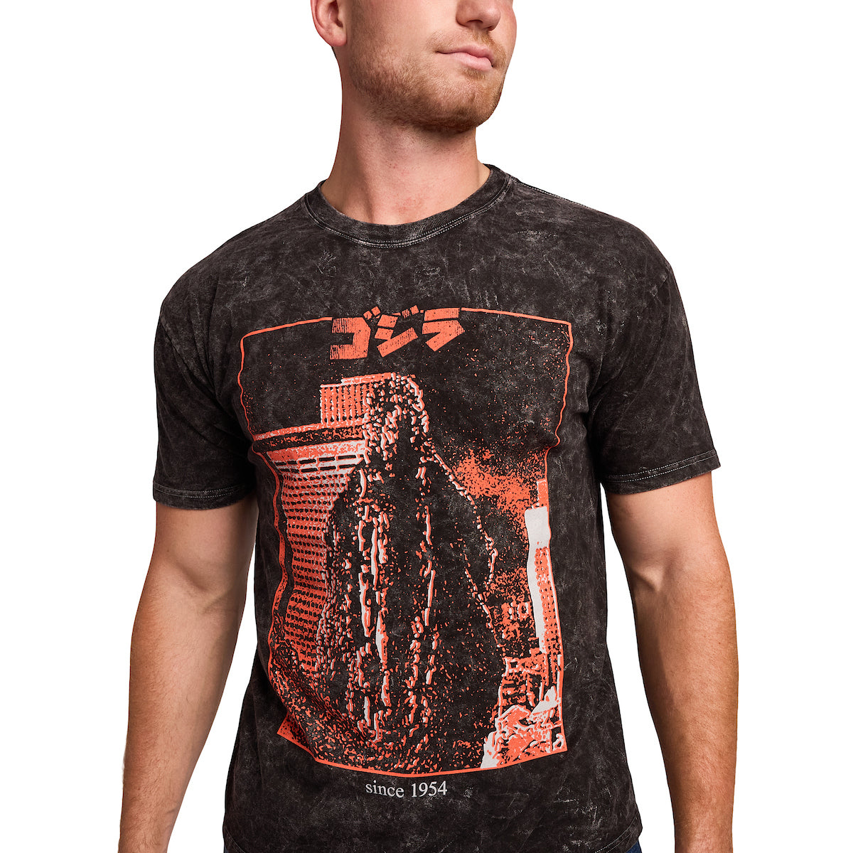 Godzilla Kanji Title Art Men's Black Cloud Wash Short Sleeve Tee