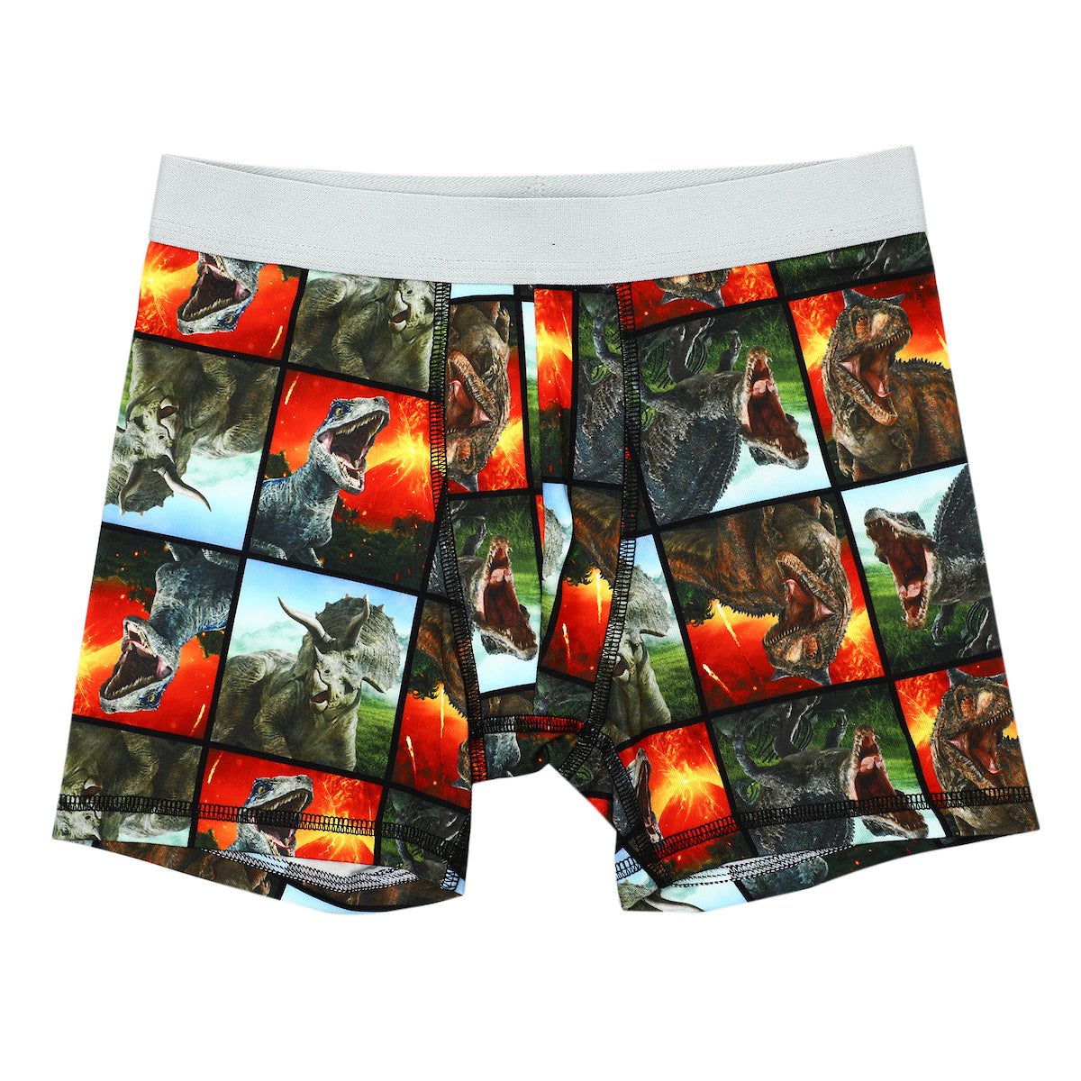 Jurassic World Dinosaurs Multipack Boys Underwear Boxer Briefs-Size-6/7