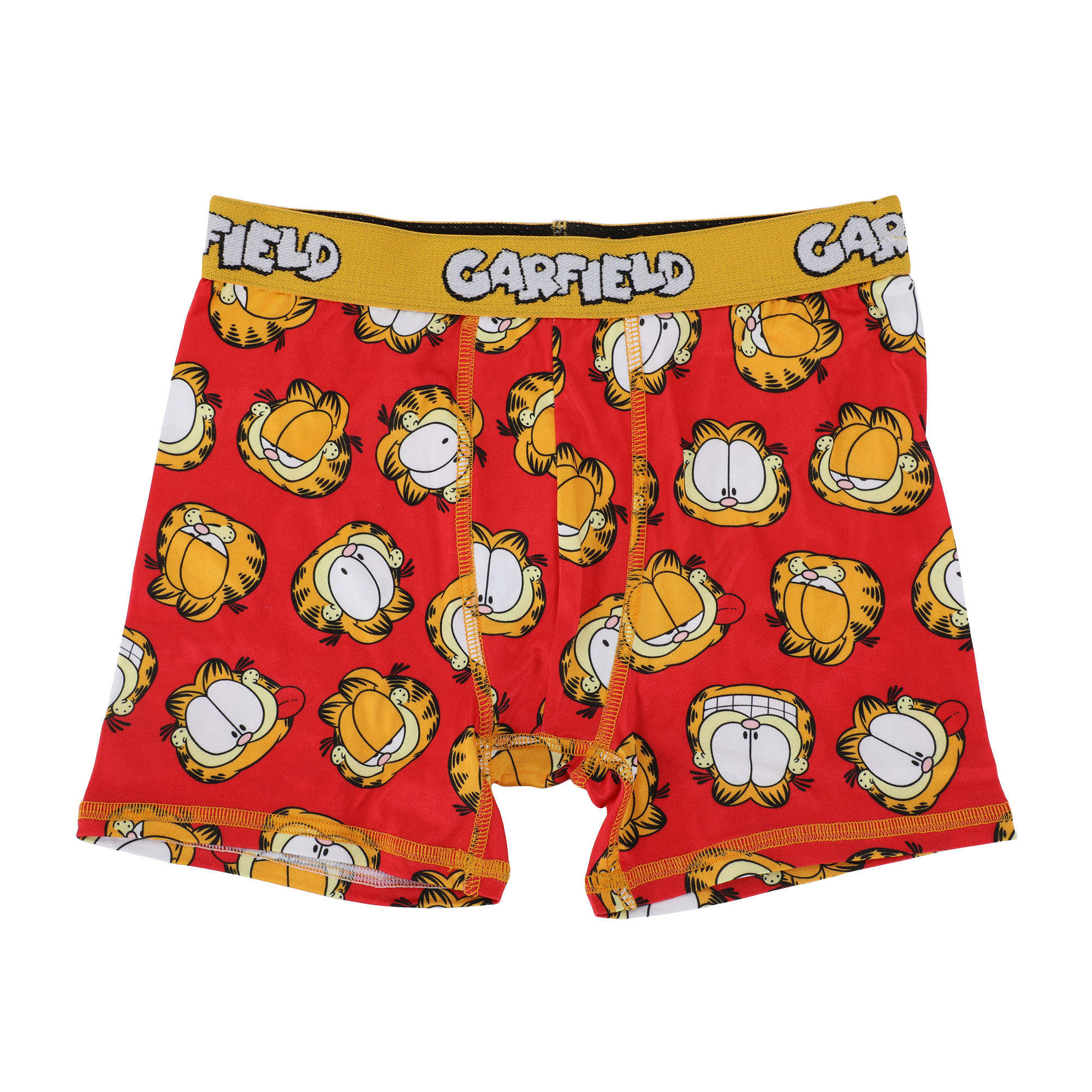 Garfield Character Art 5-Pack Boy's Boxer Briefs