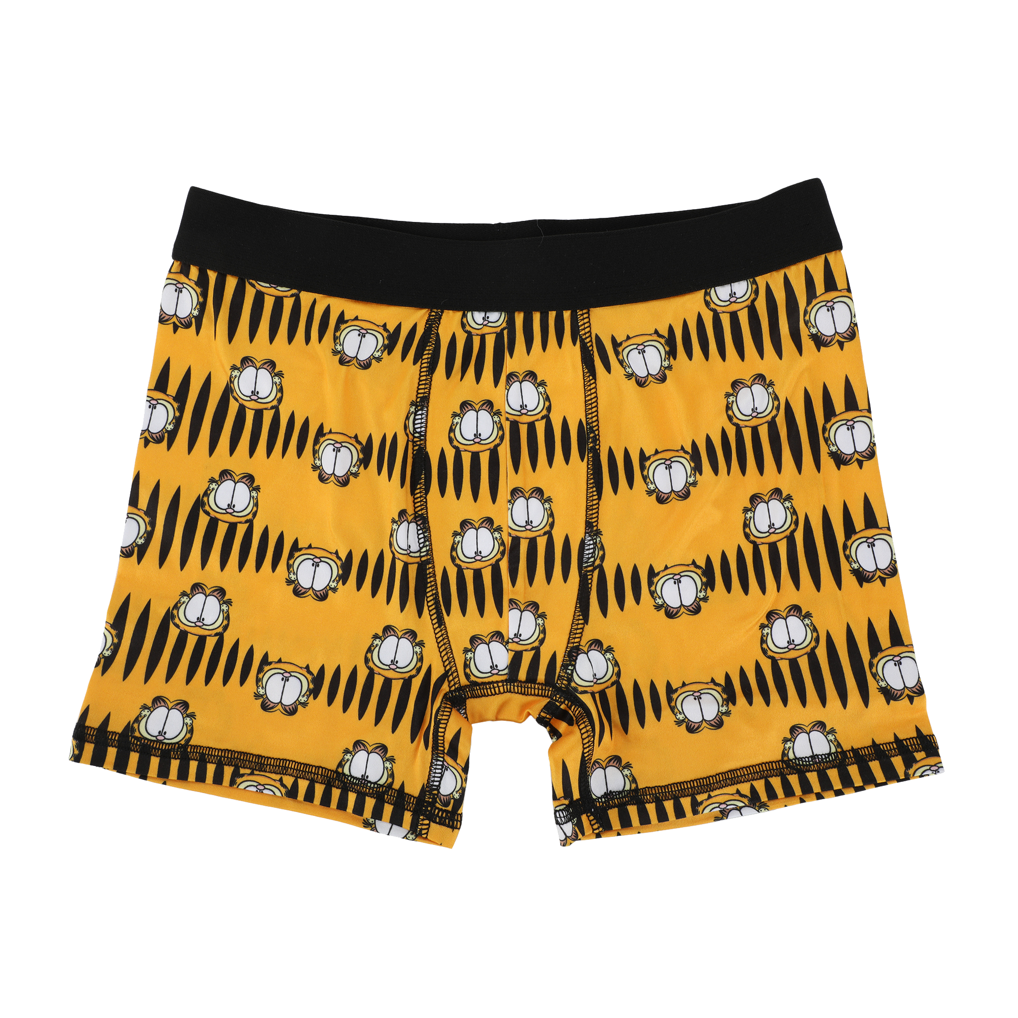 Garfield Character Art 5-Pack Boy's Boxer Briefs