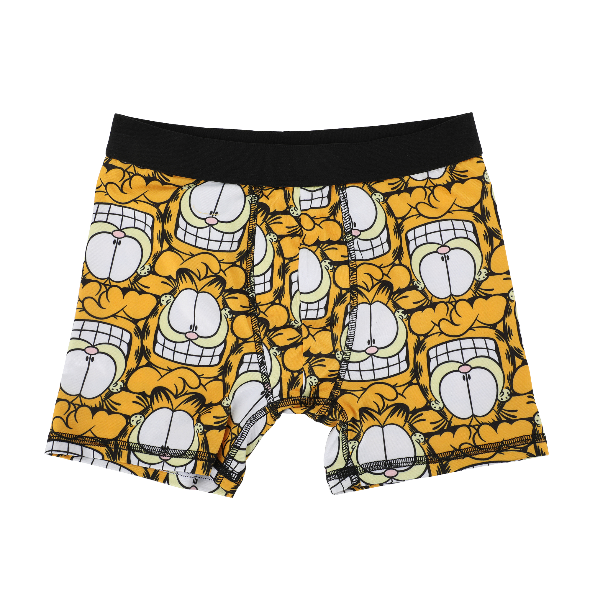 Garfield Character Art 5-Pack Boy's Boxer Briefs