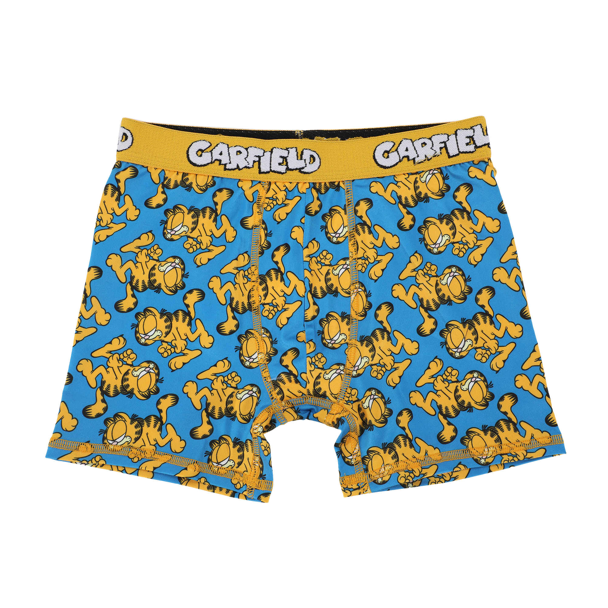 Garfield Character Art 5-Pack Boy's Boxer Briefs