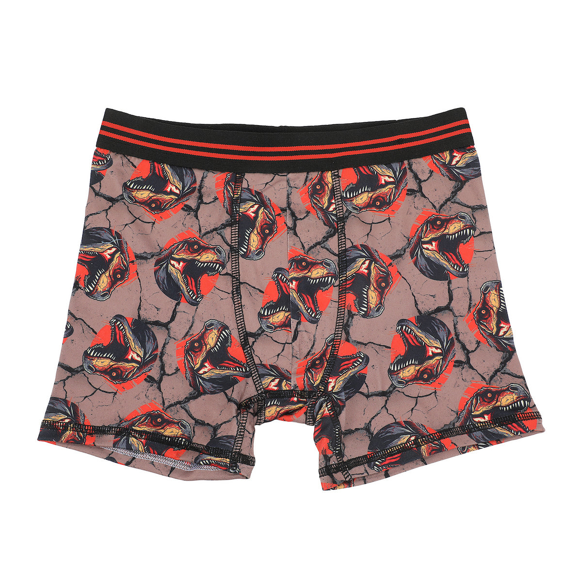 FUNFARE Underwear Dinosaurs All-Over Print Boy's 5-Pack Boxer Briefs
