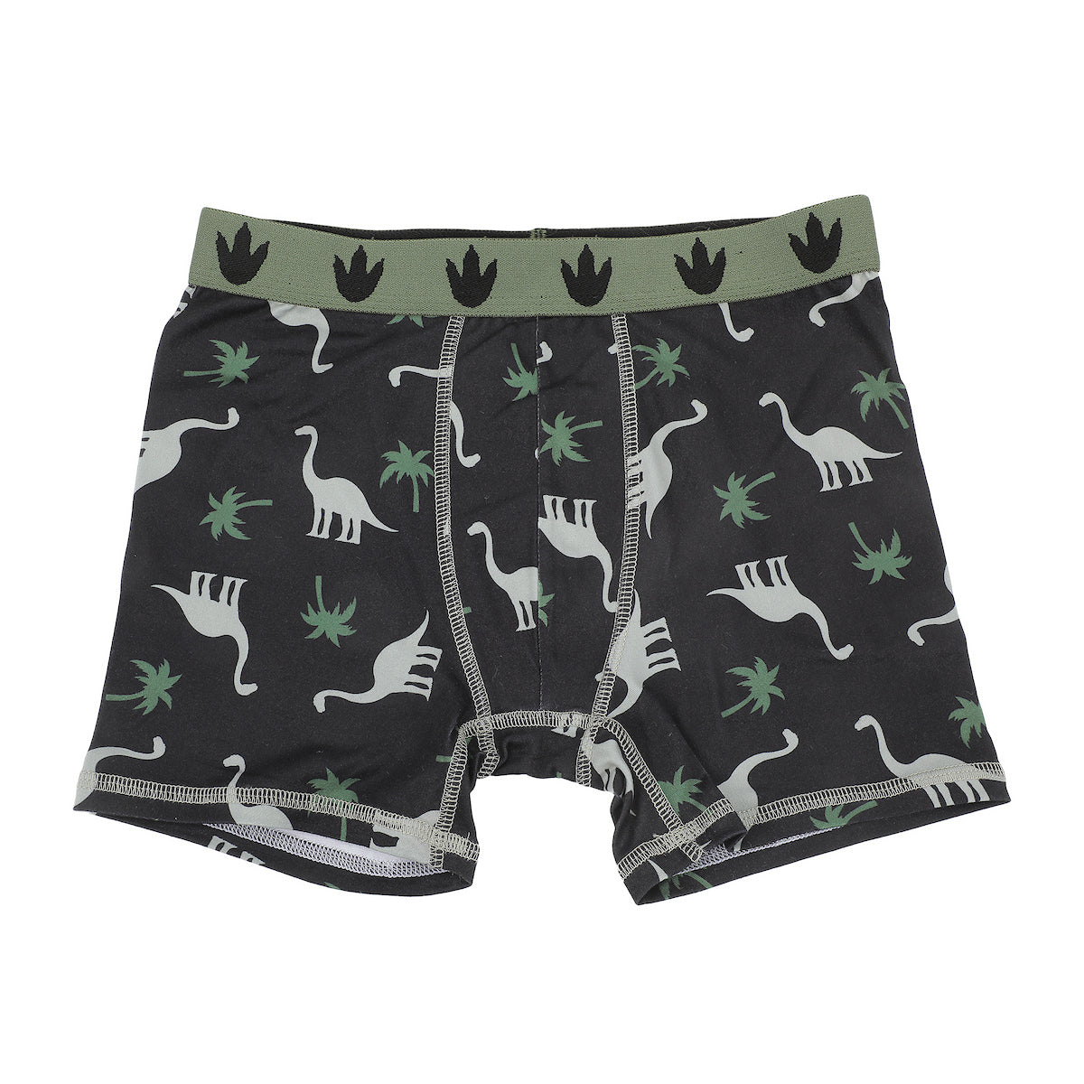 FUNFARE Underwear Dinosaurs All-Over Print Boy's 5-Pack Boxer Briefs