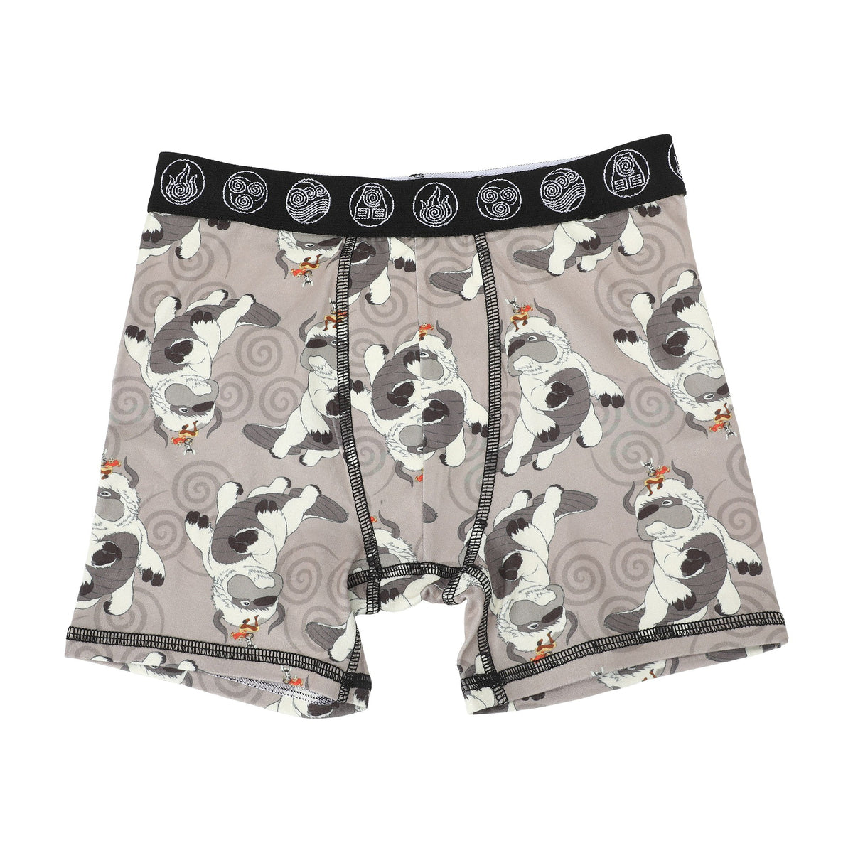 Avatar The Last Airbender Boys Boxer Briefs 5 Pack Set