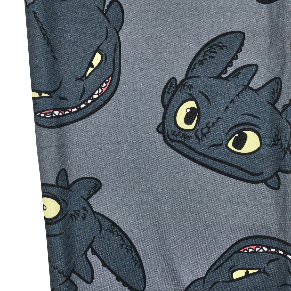 How To Train Your Dragon Toothless All-Over Print Men's Sleep Pajama Pants