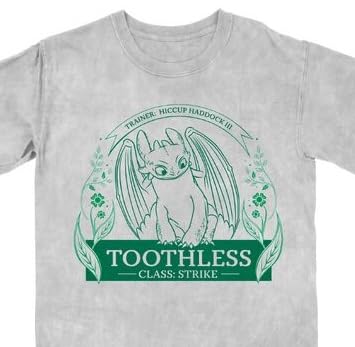 How To Train Your Dragon Toothless Leaf Circle Women's Gray Mineral Wash Crew Neck Short Sleeve T-shirt