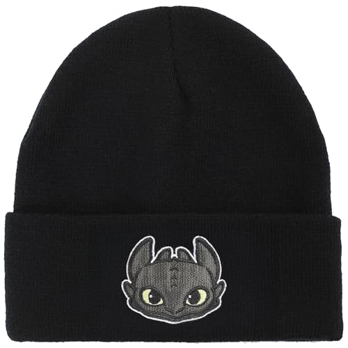 How to Train Your Dragon Toothless Men’s Embroidered Cuff Beanie