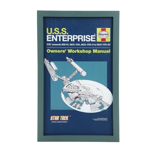 Star Trek U.S.S. Enterprise 11" x 18" Blue Wall Frame