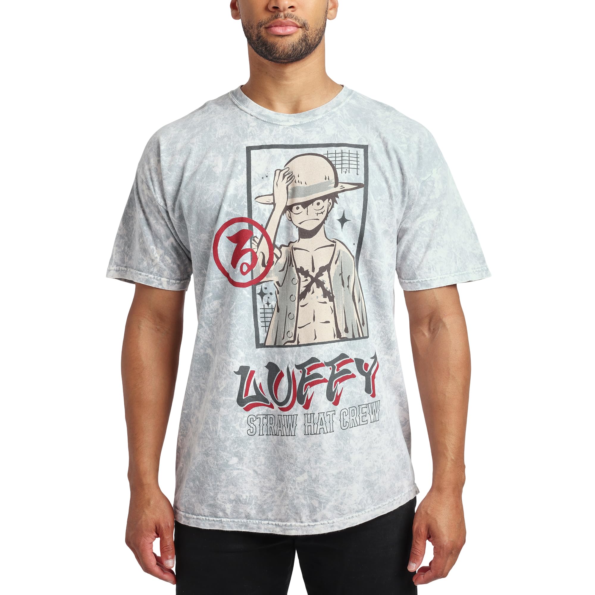 One Piece (Animated Series) Luffy Men's Gray Cloud Wash Short Sleeve Tee