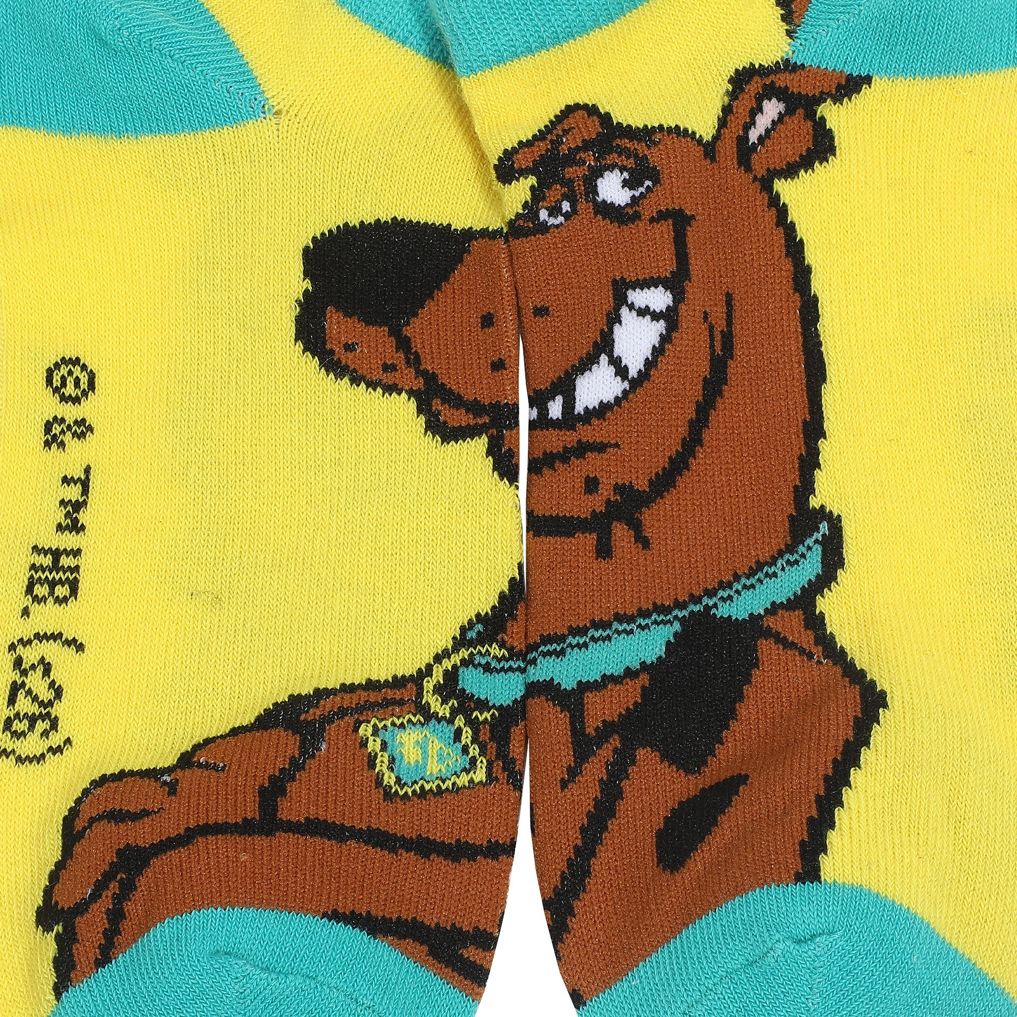 Scooby Doo Gang 5 Pack Ankle Socks for Women