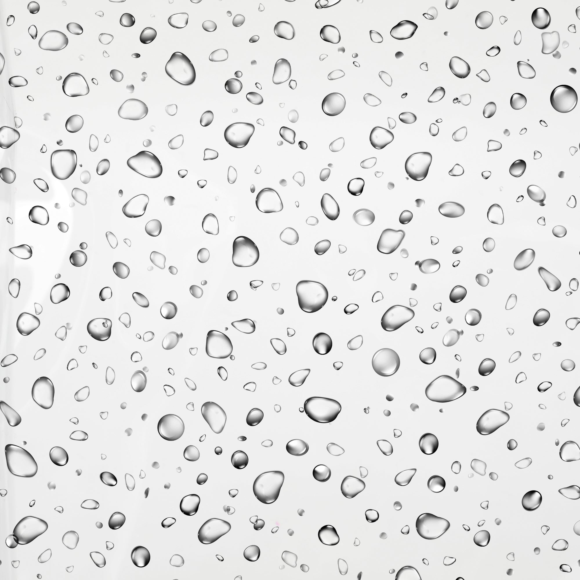 Spongebob Squarepants Character Print 16" Clear Backpack & Lunch Kit Value Set