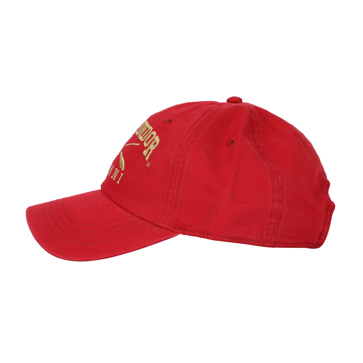 Harry Potter Gryffindor Alumni Adult Unstructured Baseball Cap