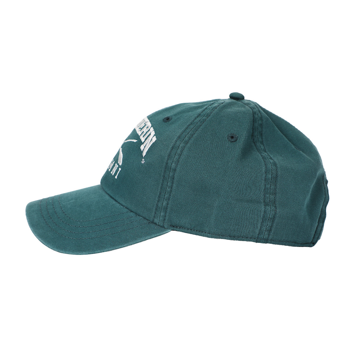 Harry Potter Slytherin Alumni Adult Unstructured Baseball Cap