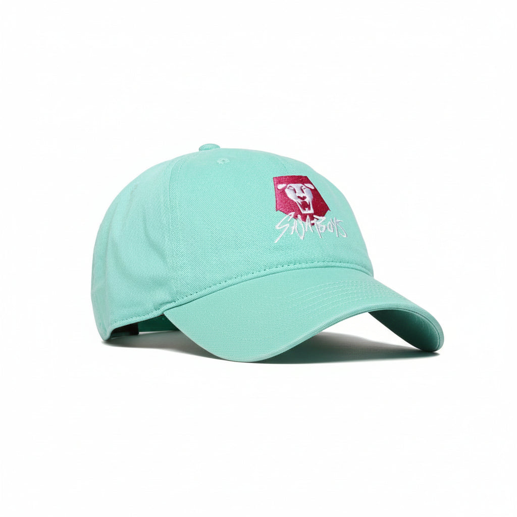 Light blue cap with a logo on a gray background