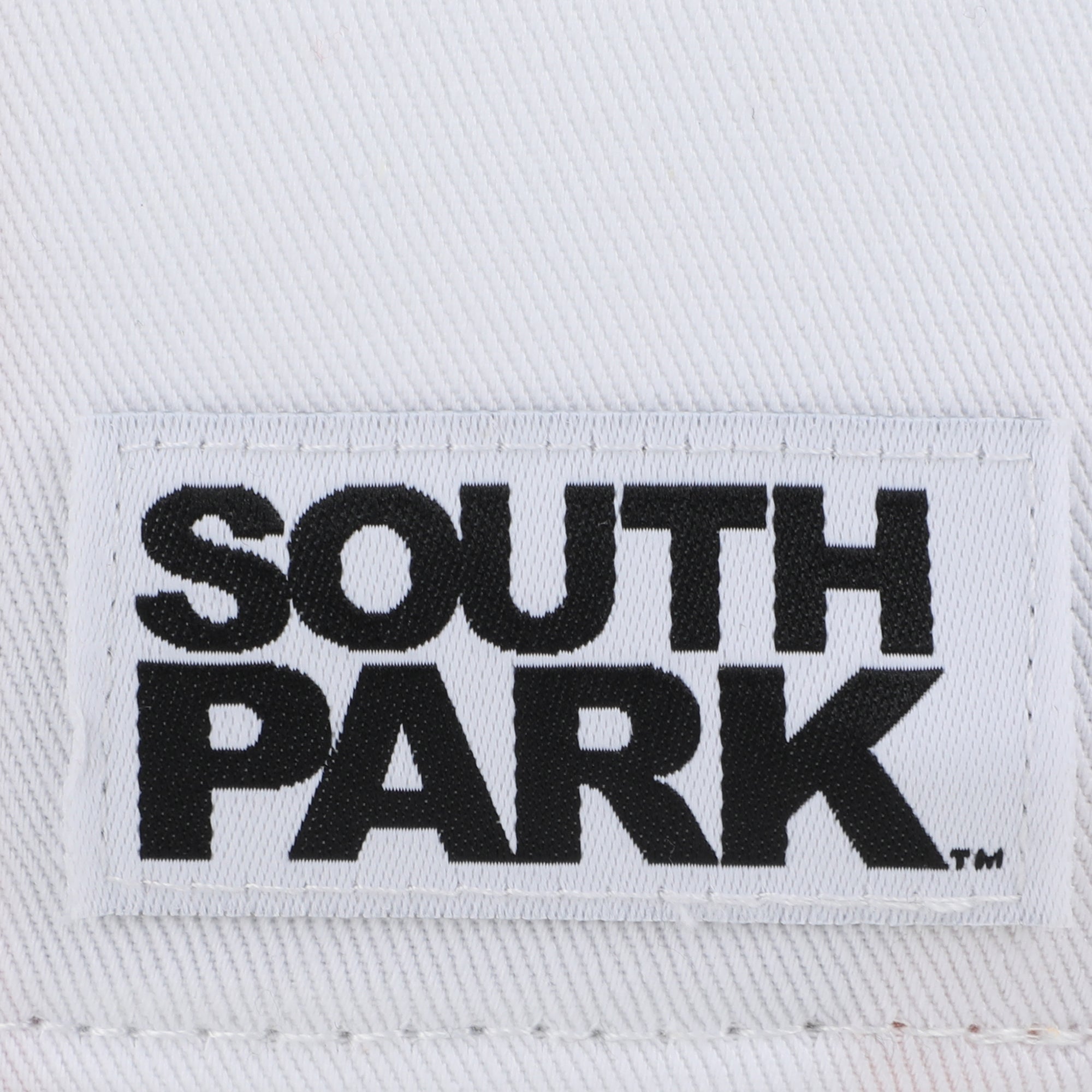 South Park Raisins Logo Adult White Traditional Adjustable Hat