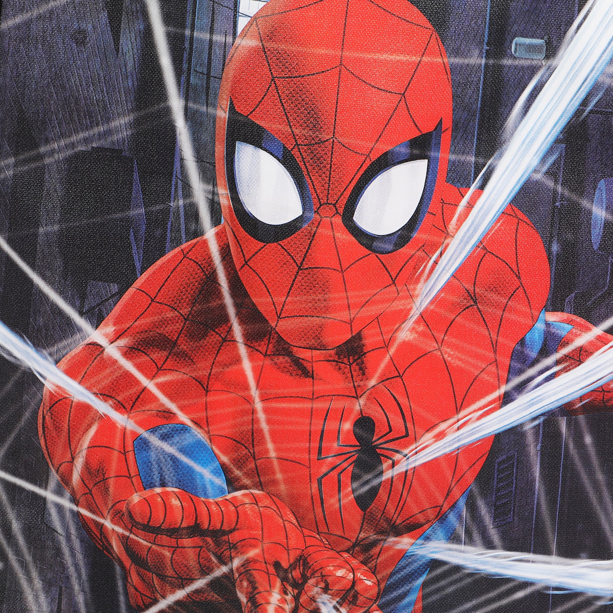 Spider-Man Web 14" Youth Pilot Case