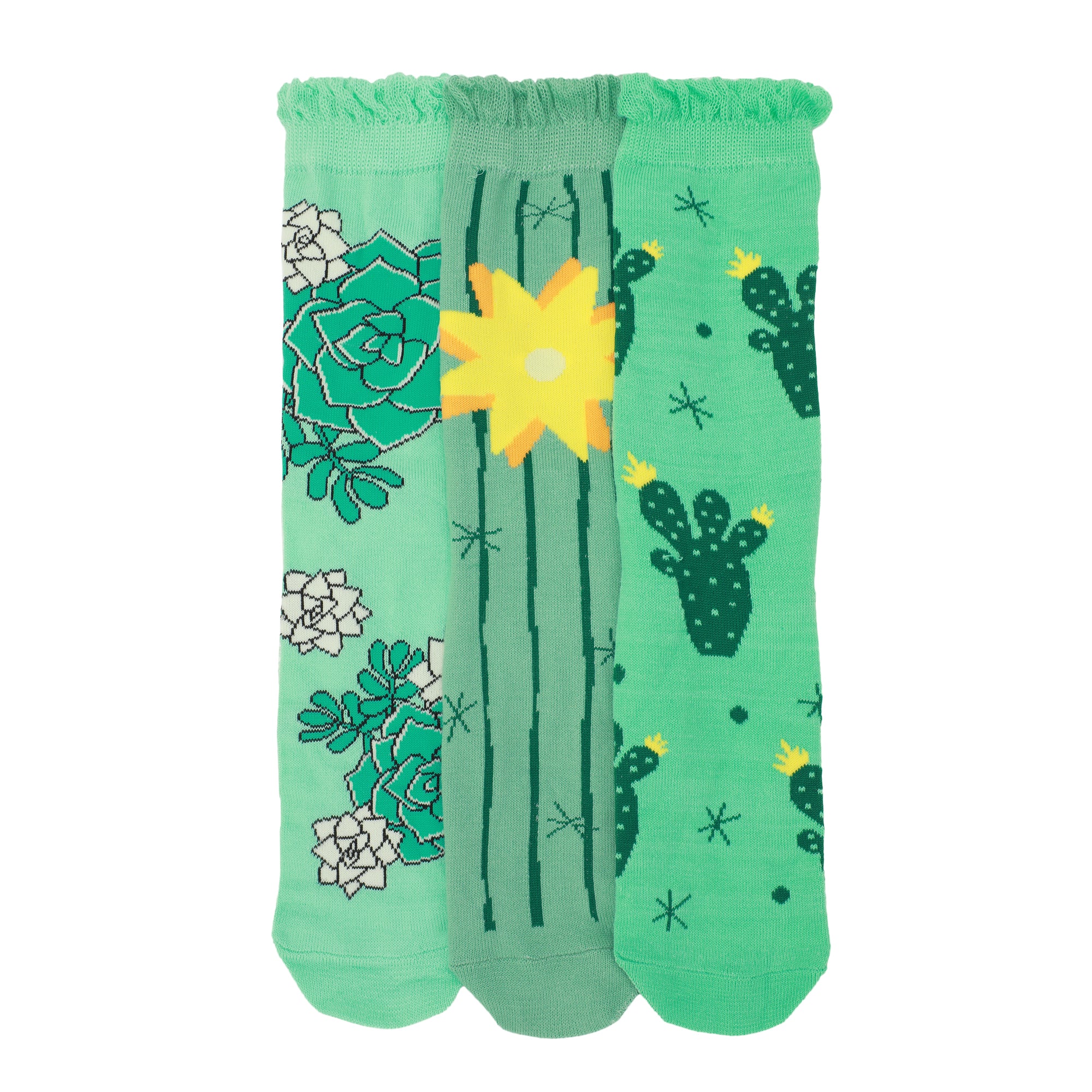 Desert Cacti & Flowers Women's 3-Pair Casual Crew Socks-OSFA