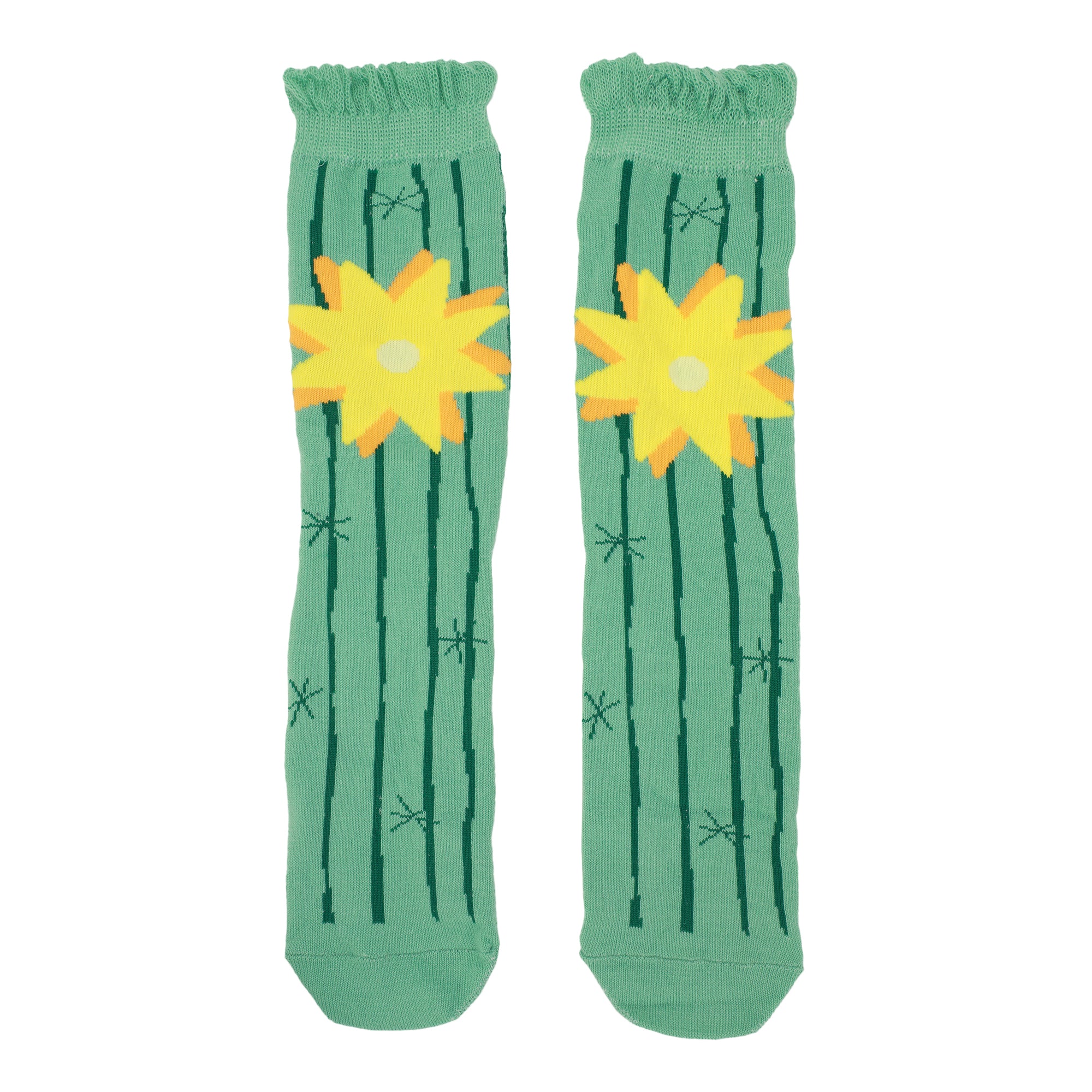 Desert Cacti & Flowers Women's 3-Pair Casual Crew Socks-OSFA