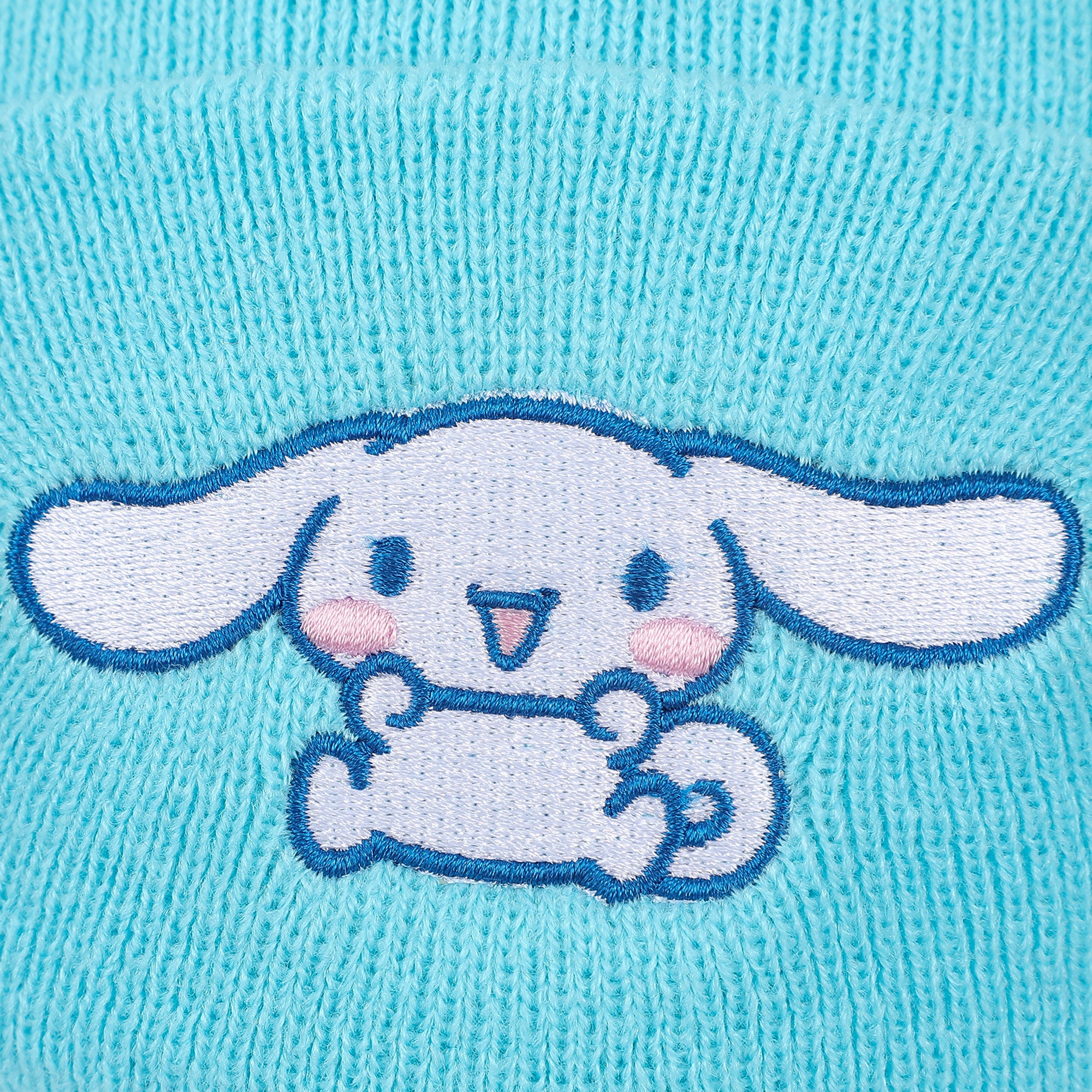 Cinnamoroll Ribbed Knit, Embroidered Character On Blue Cuff Beanie