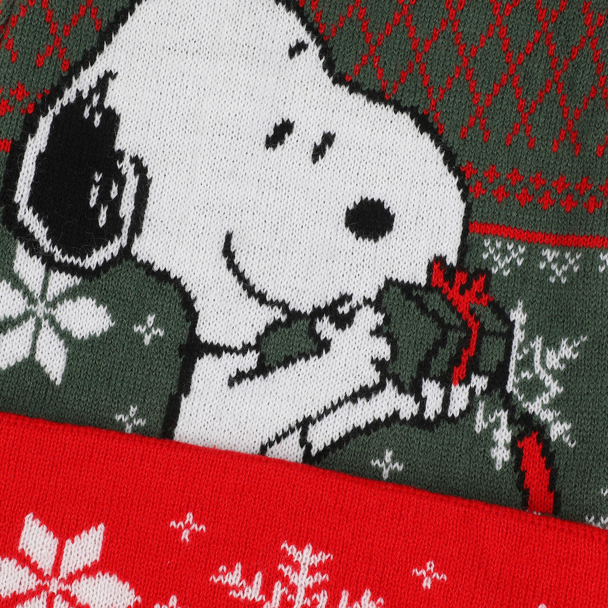 Peanuts Snoopy With Present Red & Green Santa Hat