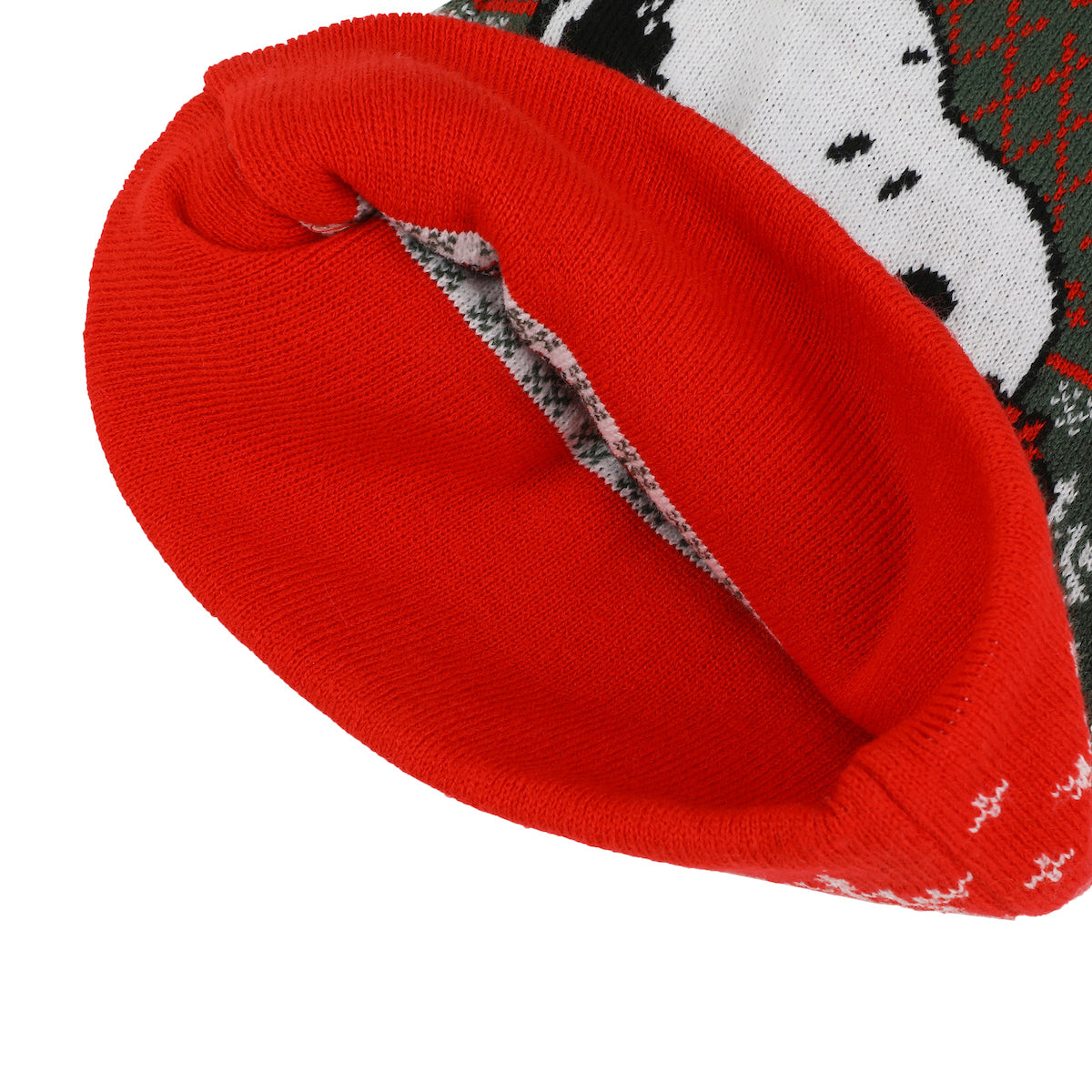 Peanuts Snoopy With Present Red & Green Santa Hat