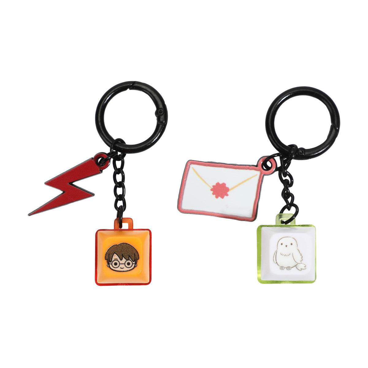 Harry Potter Harry and Hedwig Key Cap Clicker Keychain