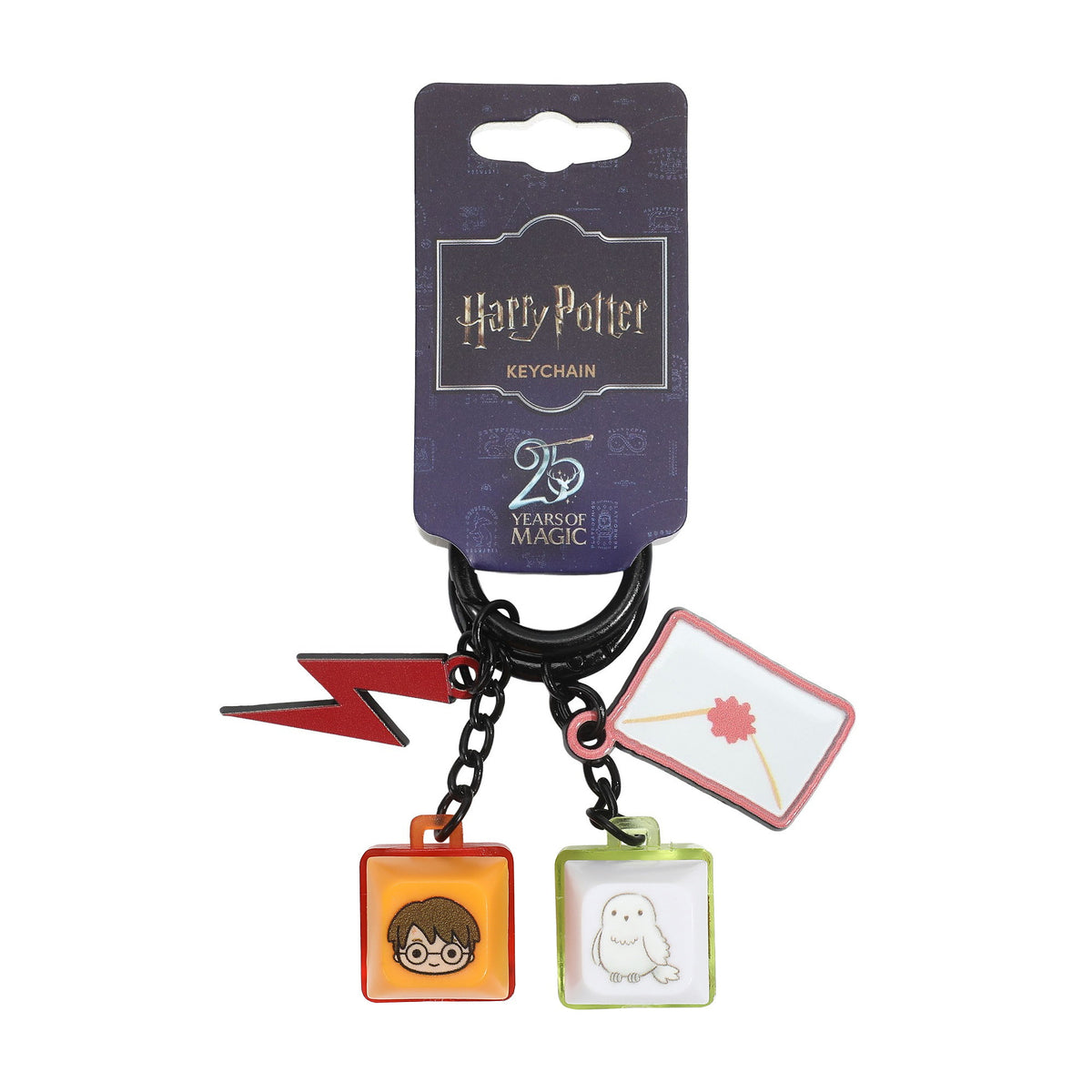 Harry Potter Harry and Hedwig Key Cap Clicker Keychain