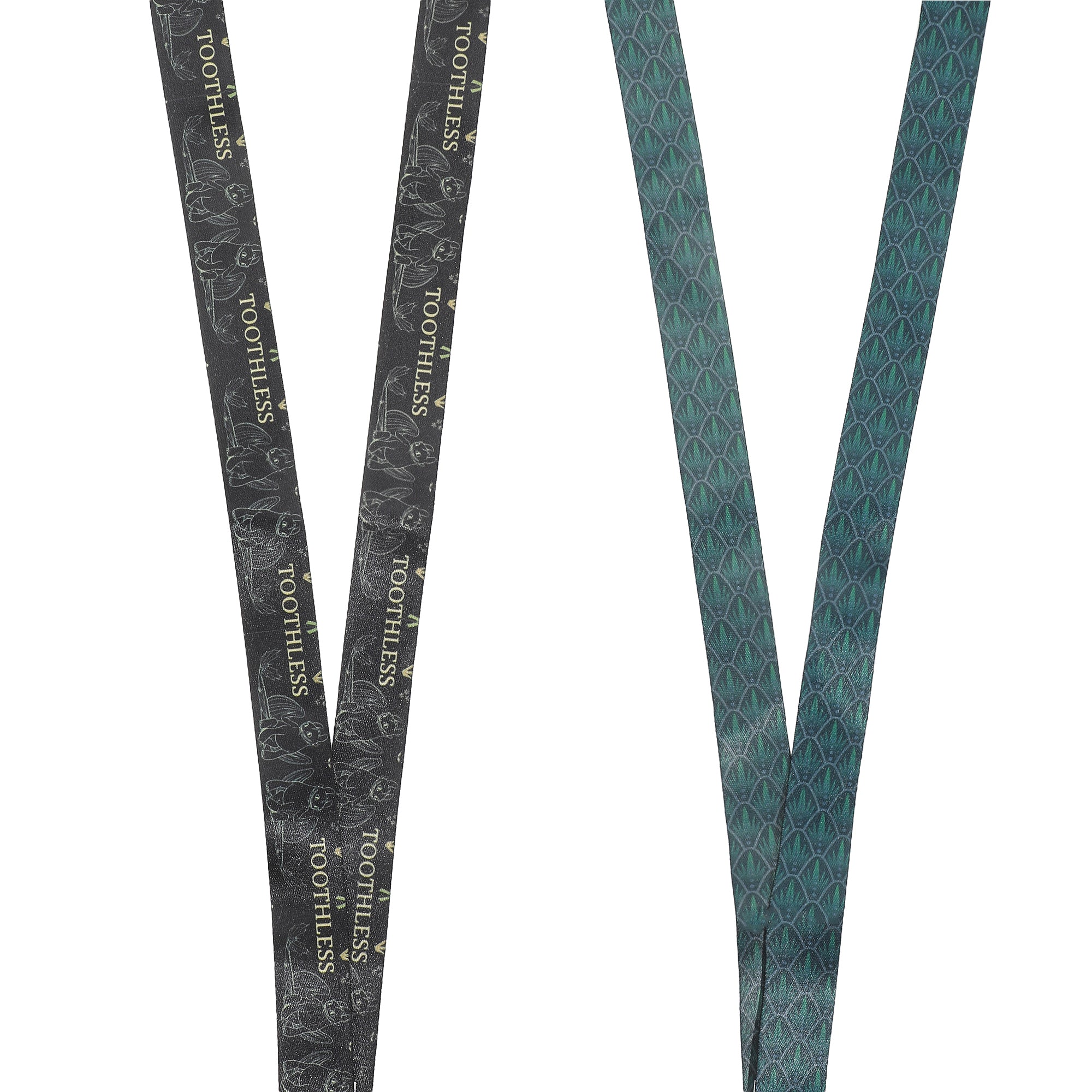 How to Train Your Dragon Toothless Nature Art Black 22" Lanyard