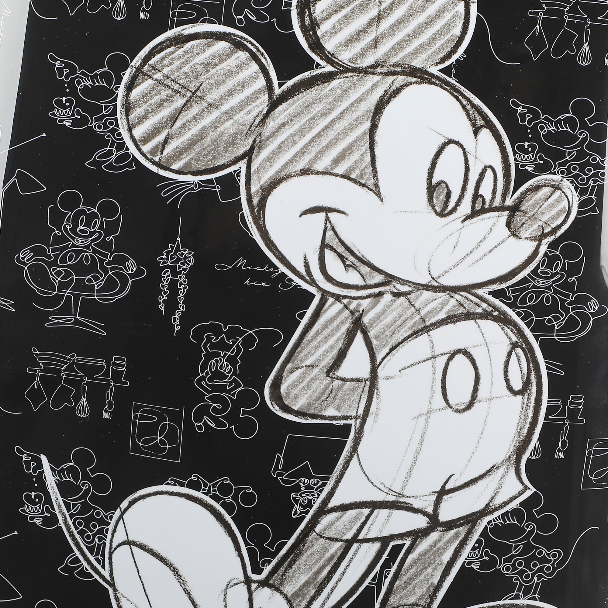 Disney Mickey Mouse 20" Hard-Sided Carry-On Luggage