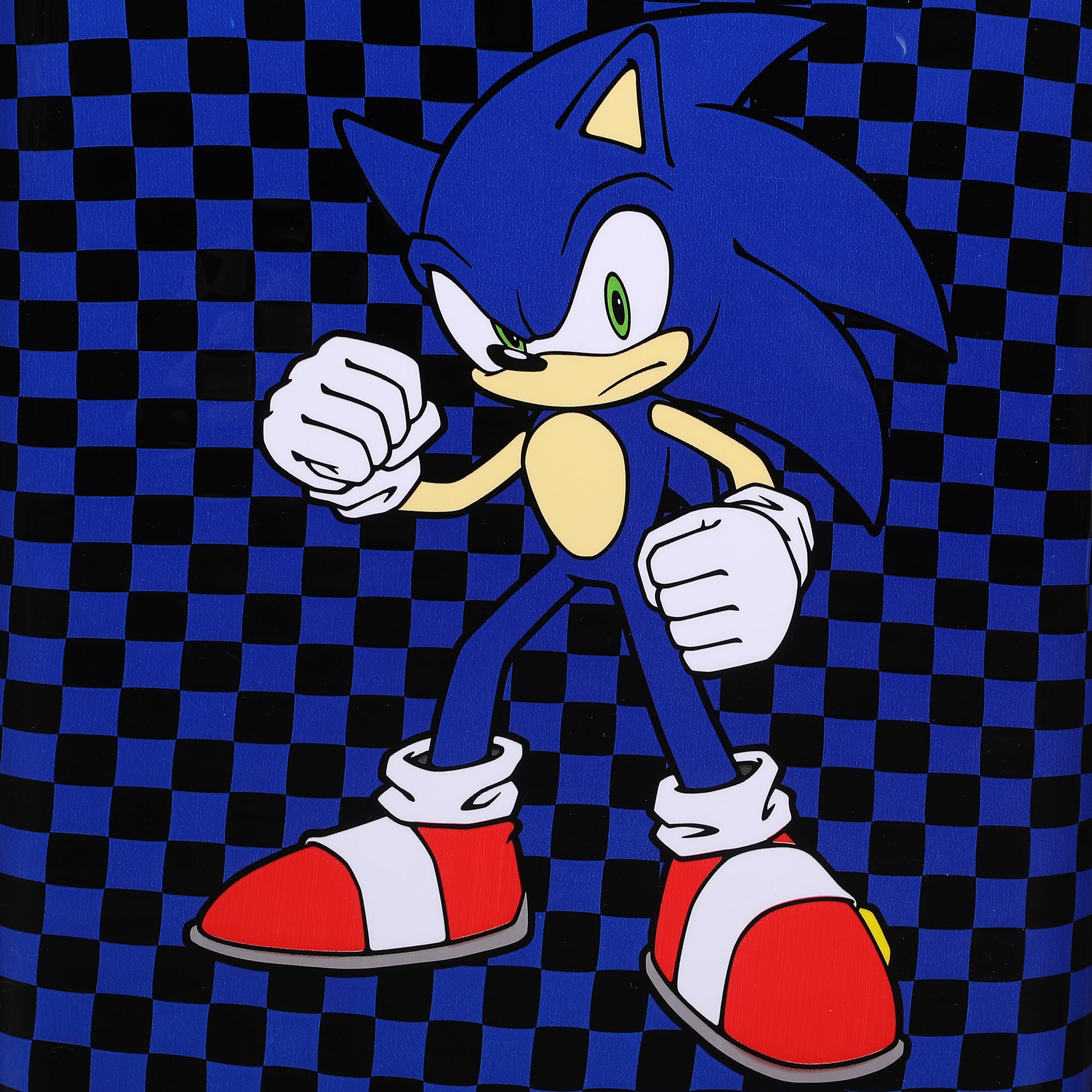 Sonic the Hedgehog Modern Weatherproof 20” Rolling Luggage
