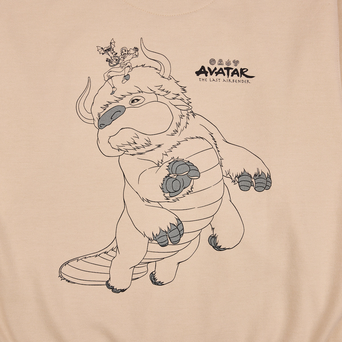 Avatar: The Last Airbender Aang Character Unisex Adult Antique White Crew Neck Sweatshirt