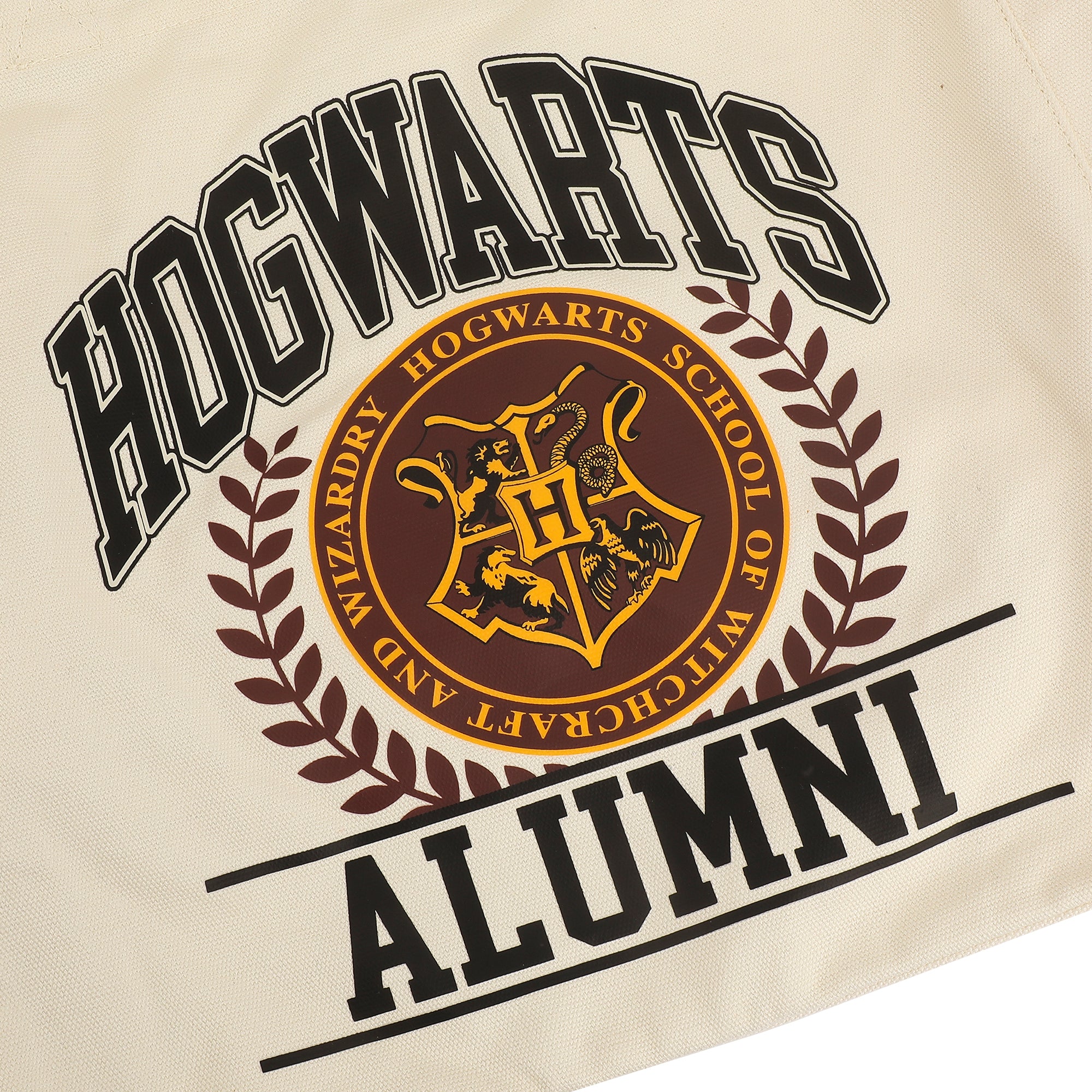 Harry Potter Hogwarts Alumni 15.5-Inch Adult Canvas Tote Bag