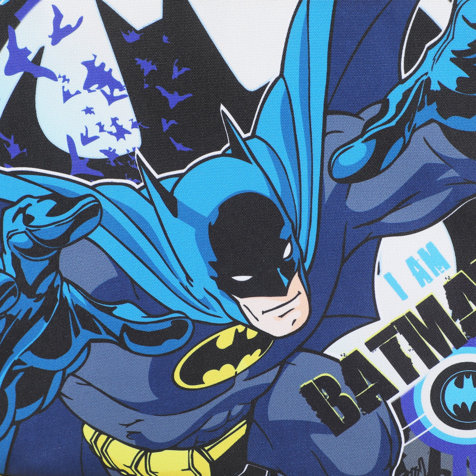 Batman In Action Insulated Lunch Kit