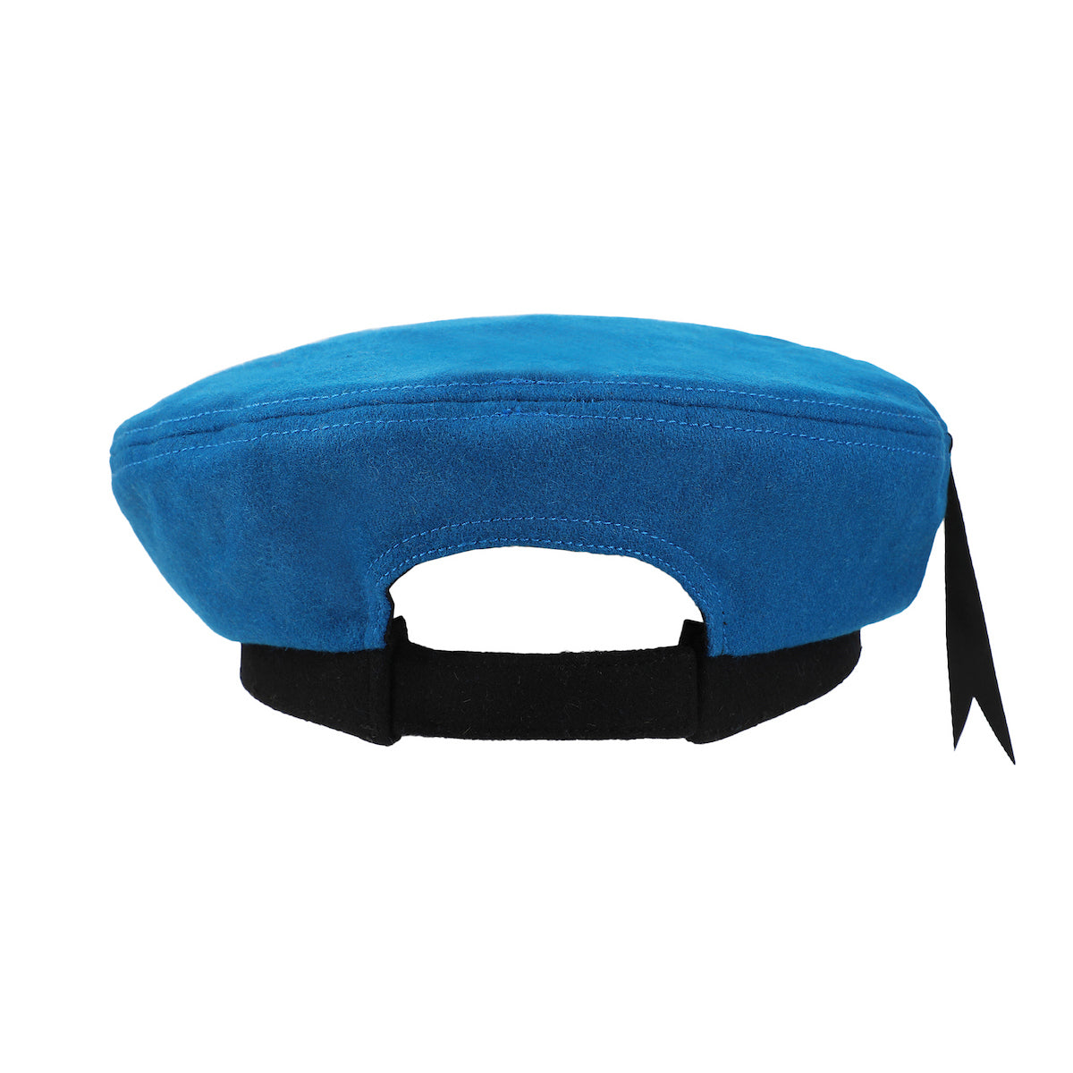 Disney Donald Duck-Inspired Blue Beret
