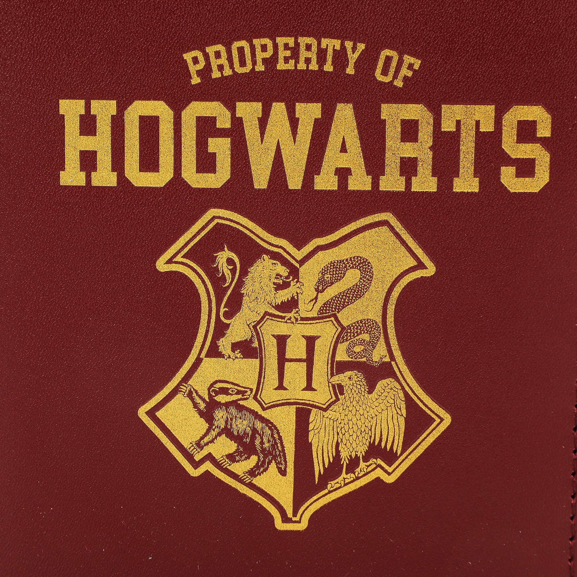 Harry Potter Molded Luggage Tag and Passport Set (2-Pc)