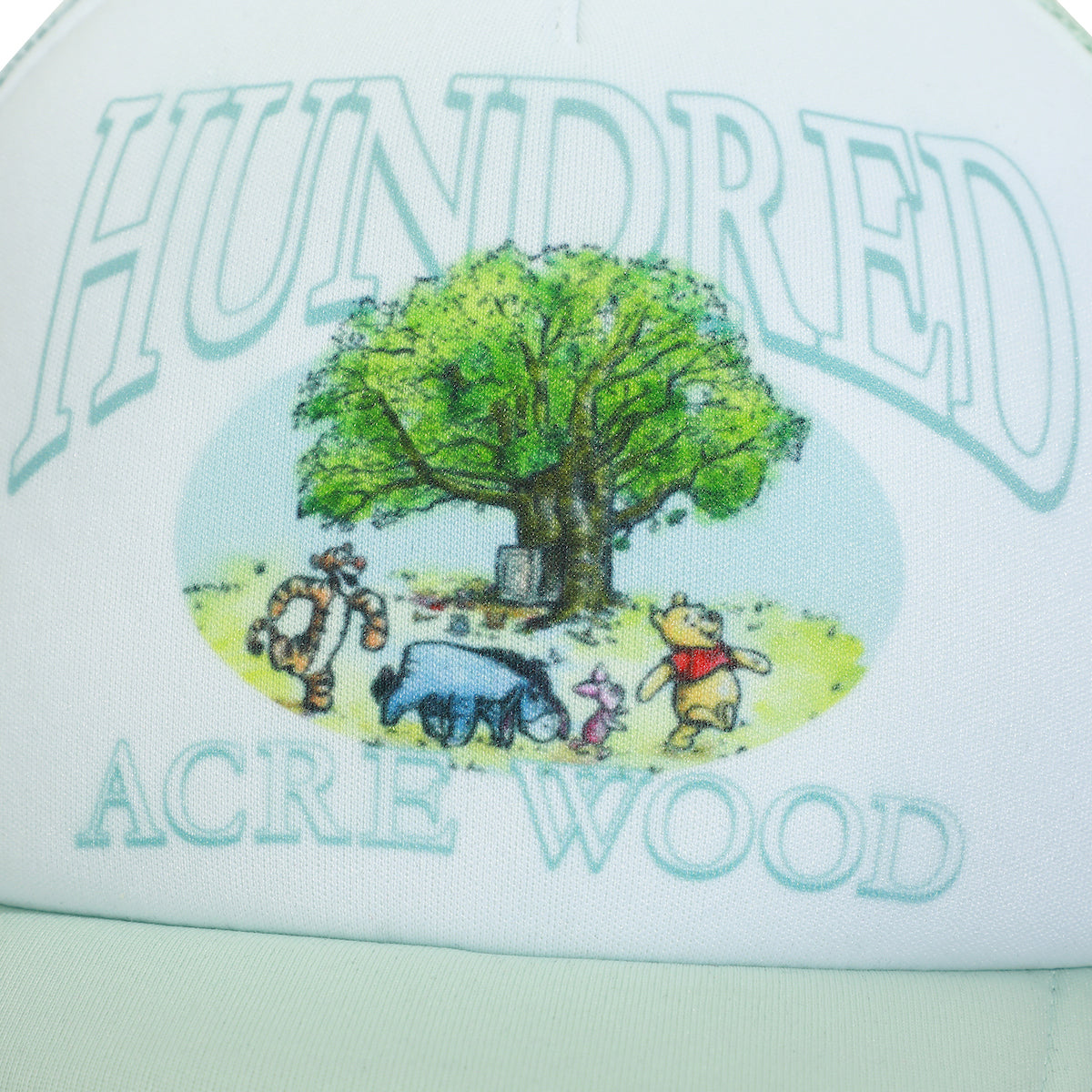 Disney Winnie The Pooh Hundred Acre Wood White & Blue Trucker Hat