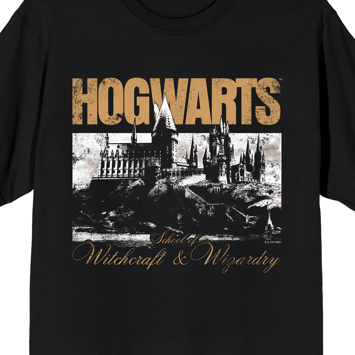 Harry Potter Hogwarts Heritage Graphic T-Shirt 100% Cotton Crew Neck Vintage Distressed Castle Print Men's Tee